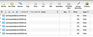 File Manager
